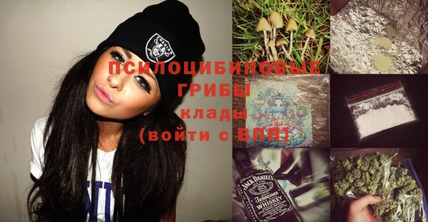 спиды Коряжма