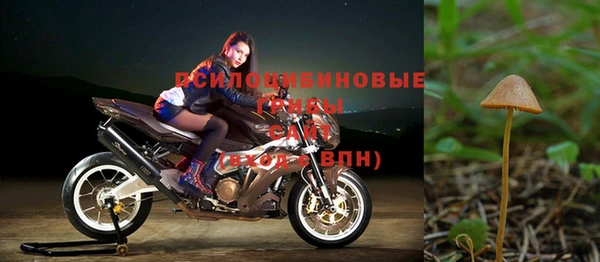 спиды Коряжма