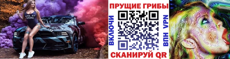 купить Скопин hydra сайт Псилоцибиновые грибы мухоморы
