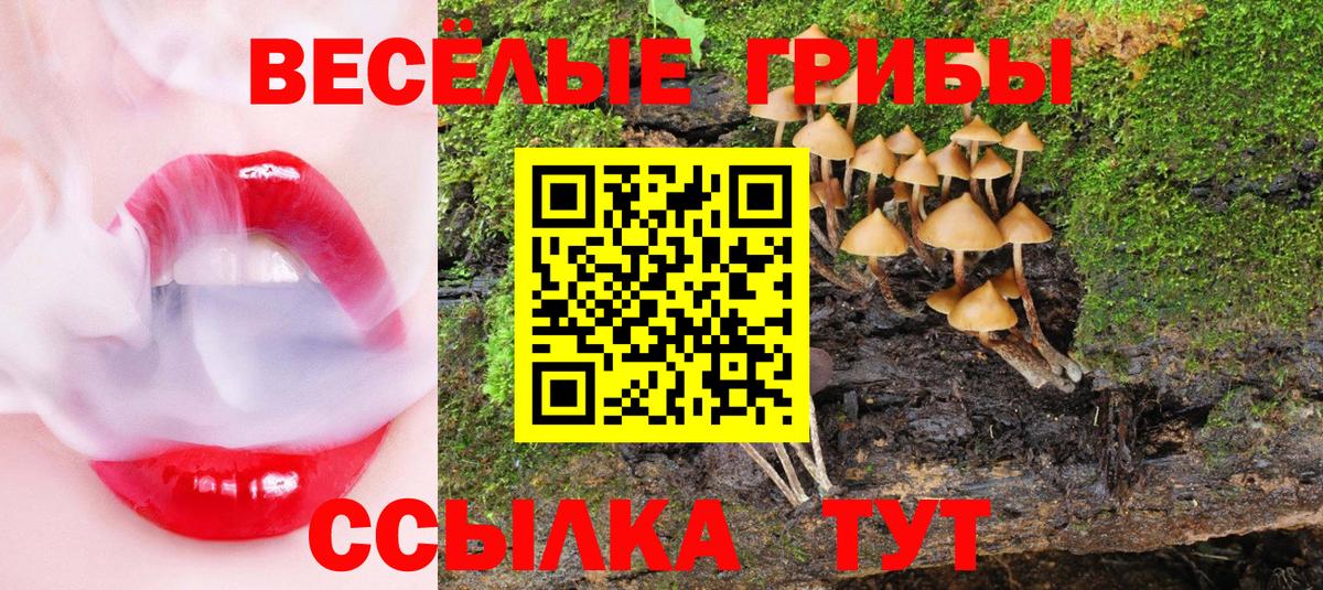 Псилоцибиновые грибы Psilocybine cubensis Скопин