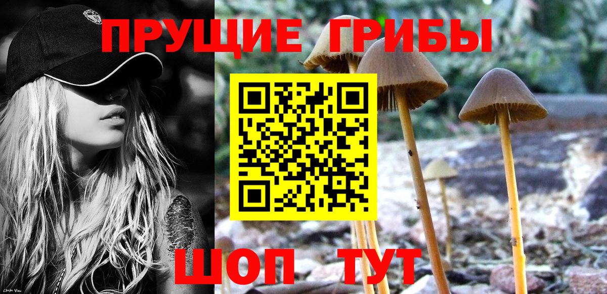 Псилоцибиновые грибы мухоморы  Вход с VPN  Скопин 